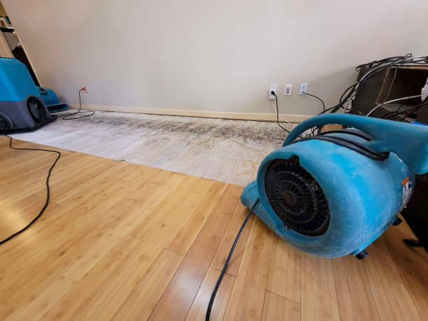 Professional Ceiling Water Damage Repair technician working in Hollywood, SC